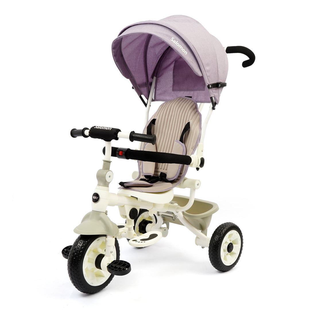 DLX Kids Tricycle T-9050